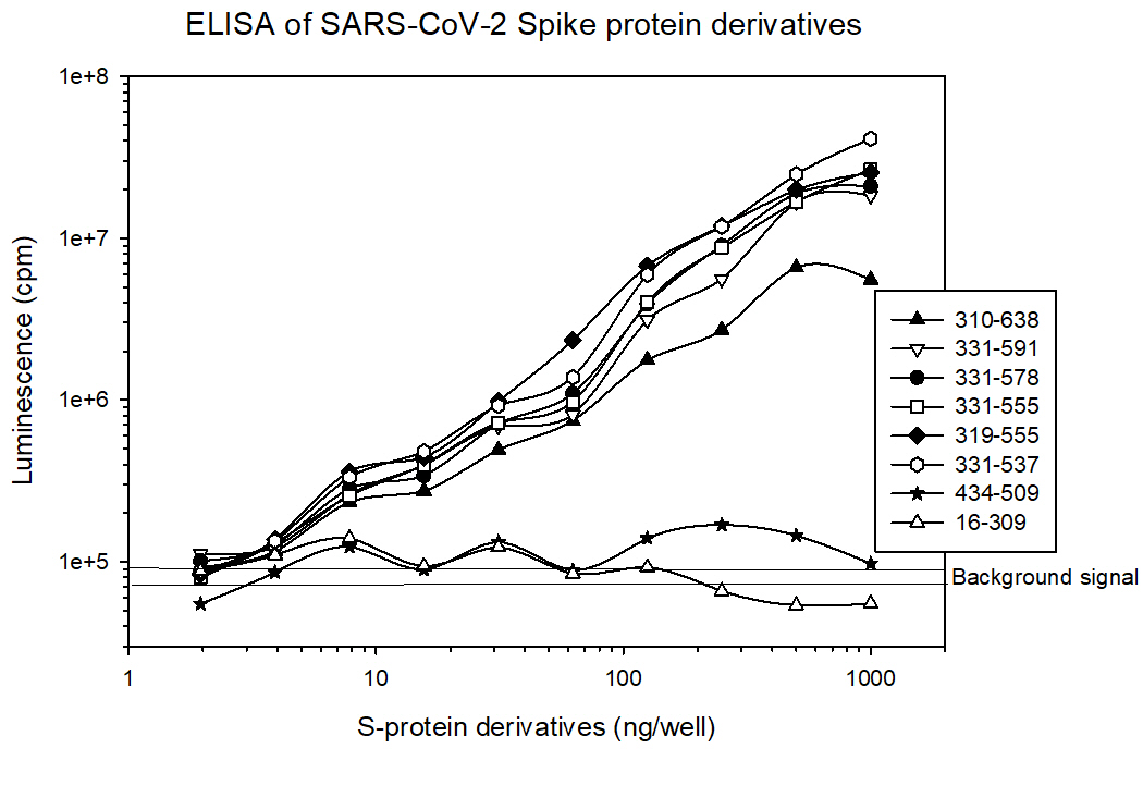 anti-Spike protein-luciferase conjugate